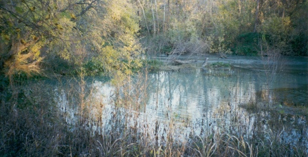 SpiritualPathCafe | San Marcos River