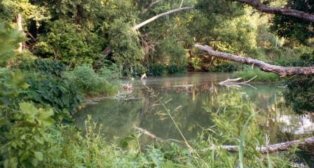 SpiritualPathCafe | San Marcos River